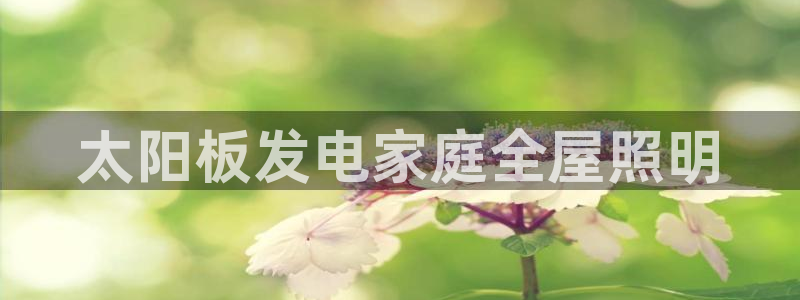太阳板发电家庭全屋照明