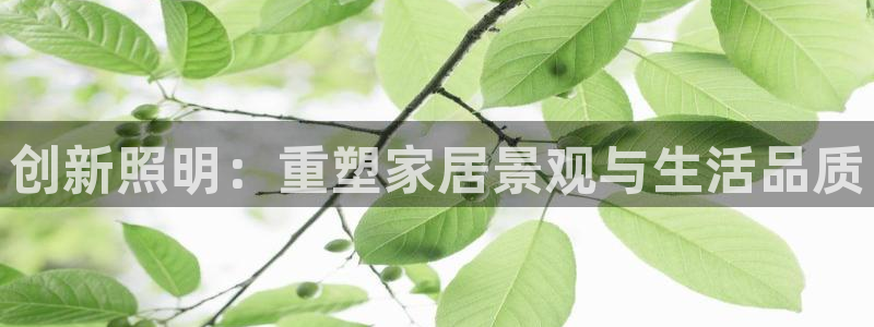 创新照明:重塑家居景观与生活品质